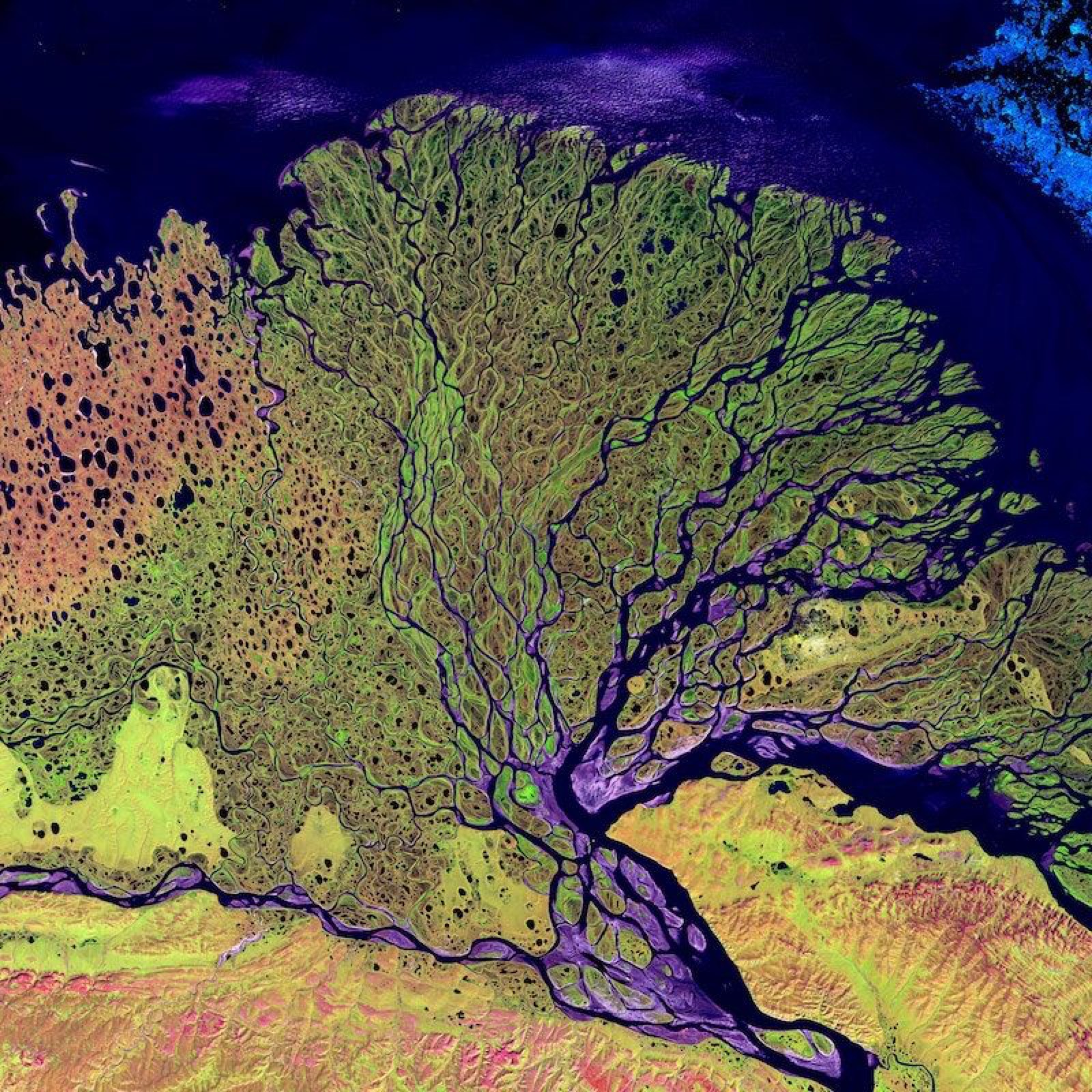 Funding solutions for the climate crisis